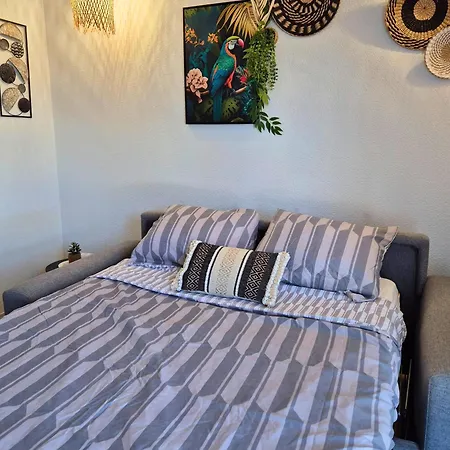 L'ethnik Proche Du Centre - Wifi - Moderne ルルド