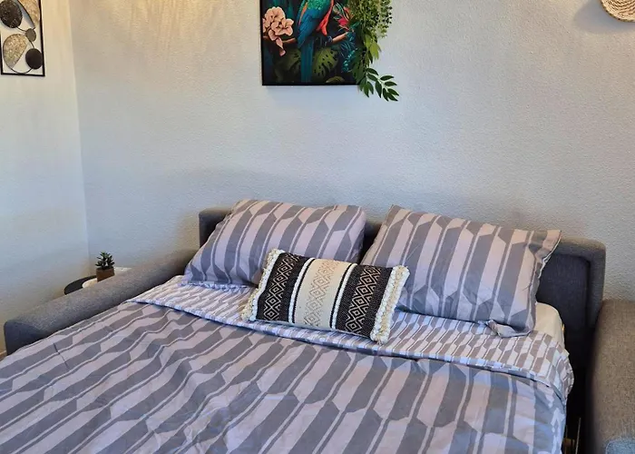 L'ethnik Proche Du Centre - Wifi - Moderne ルルド