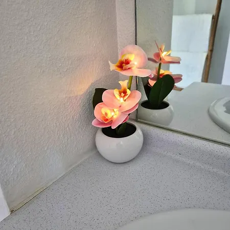 Lejlighed L'ethnik Proche Du Centre - Wifi - Moderne *