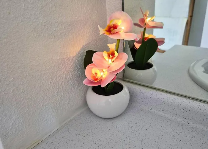 Apartman L'ethnik Proche Du Centre - Wifi - Moderne *