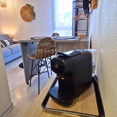 L'ethnik Proche Du Centre - Wifi - Moderne * Lourdes