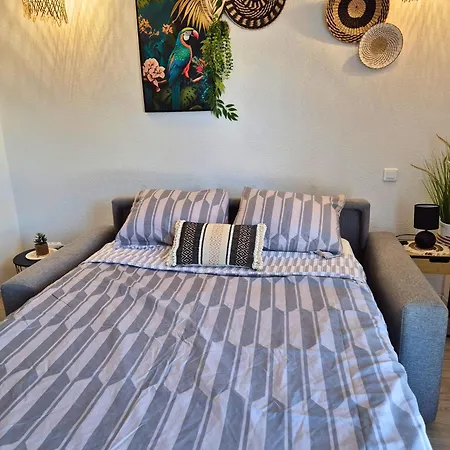 L'ethnik Proche Du Centre - Wifi - Moderne Apartment Lourdes